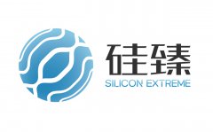 合肥硅臻芯片技術(shù)有限公司